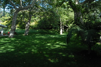 Enlarge photo 29