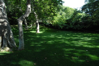 Enlarge photo 32