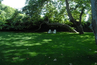 Enlarge photo 33