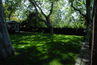 Enlarge photo 34