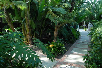 Enlarge photo 35