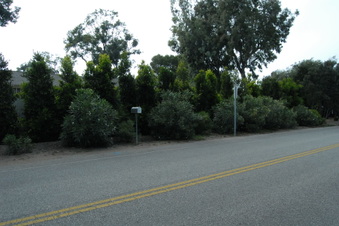 Enlarge photo 3