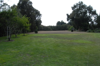 Enlarge photo 10