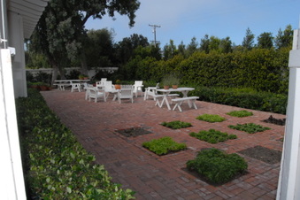 Enlarge photo 24