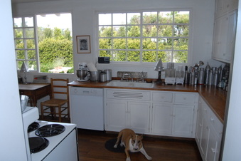 Enlarge photo 46