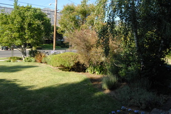 Enlarge photo 10
