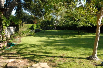 Enlarge photo 55