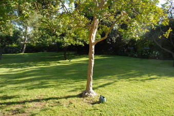 Enlarge photo 56