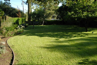 Enlarge photo 58