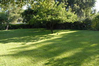 Enlarge photo 59