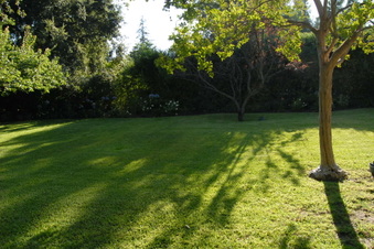 Enlarge photo 60