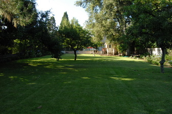 Enlarge photo 61