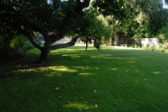 Enlarge photo 62