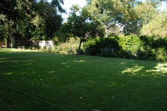 Enlarge photo 63