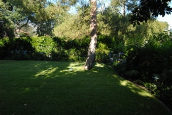 Enlarge photo 64