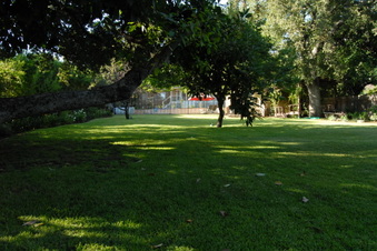 Enlarge photo 65