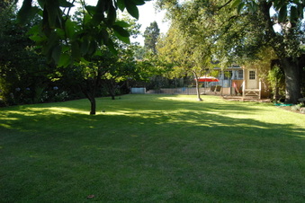 Enlarge photo 66