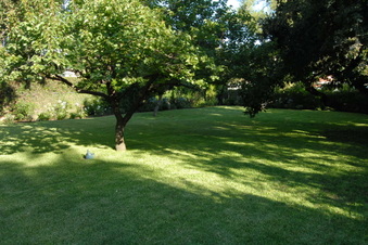 Enlarge photo 72
