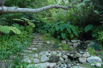 Enlarge photo 41