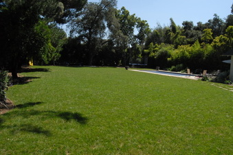Enlarge photo 71