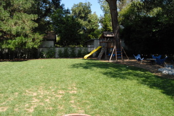 Enlarge photo 74