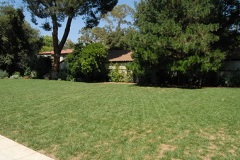 Enlarge photo 75