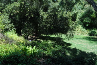 Enlarge photo 58