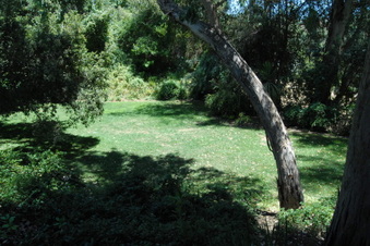Enlarge photo 59