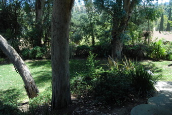 Enlarge photo 60