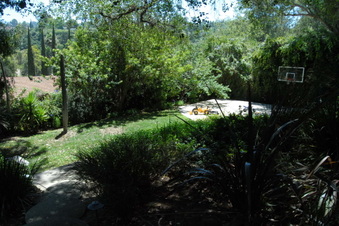 Enlarge photo 61