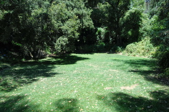 Enlarge photo 67