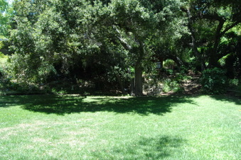 Enlarge photo 69
