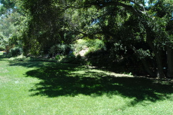 Enlarge photo 74