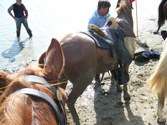 Enlarge photo 17