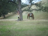 Enlarge photo 37