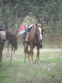 Enlarge photo 38