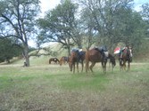 Enlarge photo 39