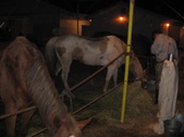 Enlarge photo 38