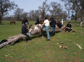 Enlarge photo 78