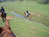 Enlarge photo 82