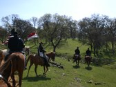 Enlarge photo 27