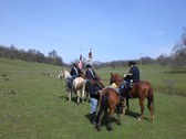 Enlarge photo 28