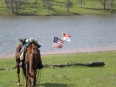 Enlarge photo 31