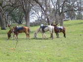 Enlarge photo 39