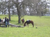 Enlarge photo 40