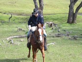 Enlarge photo 41