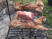 Enlarge photo 62