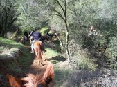 Enlarge photo 17