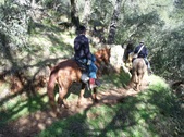Enlarge photo 18