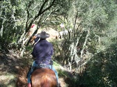 Enlarge photo 20